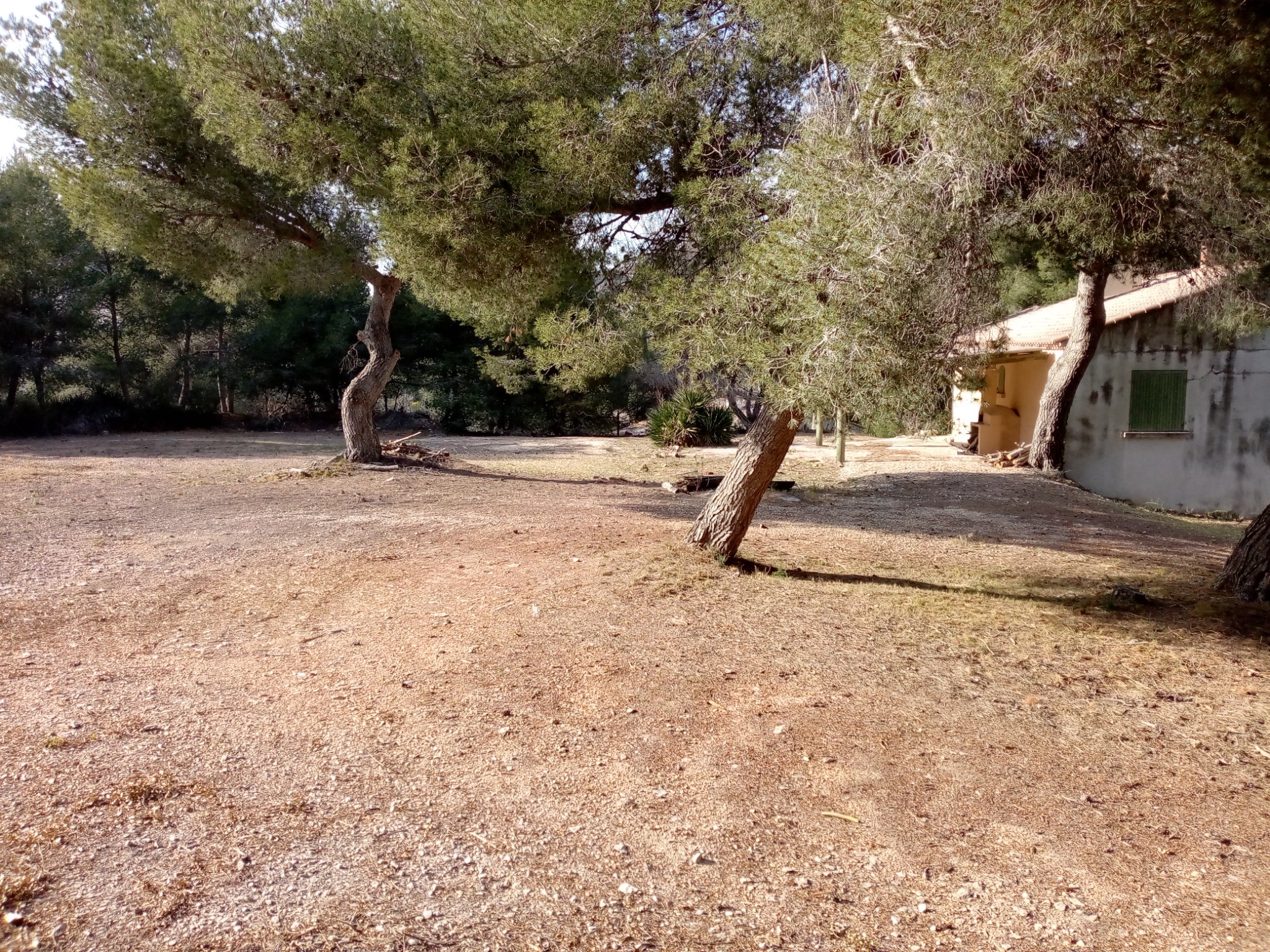 Ouverture du moulin récolte 2025